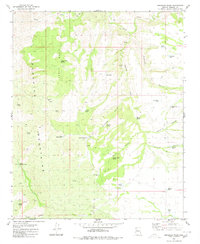 Gonzales Wash 1980 topographic map thumbnail