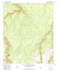 Grama Draw 1965 topographic map thumbnail