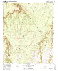 Grama Draw 1965 topographic map thumbnail