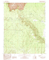 Grandview Point 1989 topographic map thumbnail