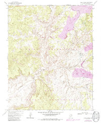 Great Spring 1971 topographic map thumbnail