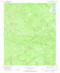 Hawley Lake West 1976 topographic map thumbnail