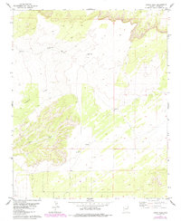 Hogan Well 1979 topographic map thumbnail