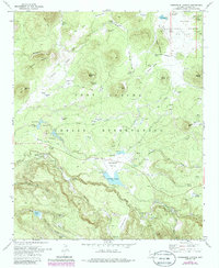 Horseshoe Cienega 1978 topographic map preview