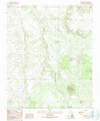 Howard Mesa 1989 topographic map thumbnail