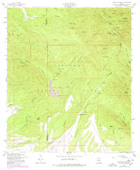 Huachuca Peak 1958 topographic map thumbnail
