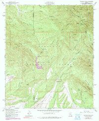 Huachuca Peak 1958 topographic map thumbnail