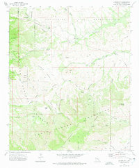 Jackson Mtn. topographic map thumbnail