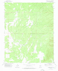 Joe Woody Well 1971 topographic map thumbnail