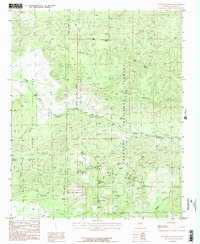 Juniper Mountains 1986 topographic map thumbnail