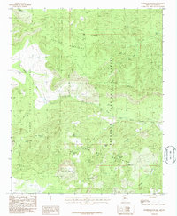 Juniper Mountains 1986 topographic map thumbnail