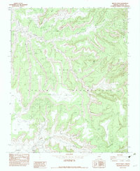 Kinusta Mesa 1982 topographic map thumbnail