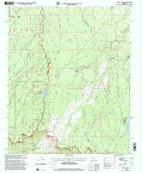 Knoll Lake 1998 topographic map thumbnail