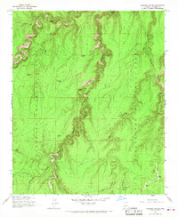 Leonard Canyon 1965 topographic map thumbnail