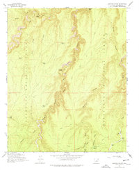 Leonard Canyon 1965 topographic map thumbnail