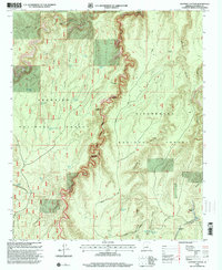 Leonard Canyon 1998 topographic map thumbnail