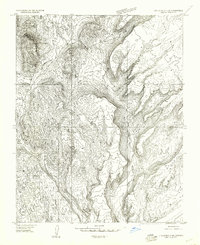Littlefield 3 SW topographic map thumbnail