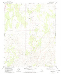 Lizard Point 1979 topographic map thumbnail