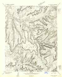 Los Gigantes NE topographic map thumbnail