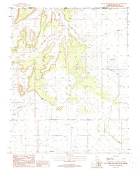 Lost Spring Mountain East 1988 topographic map thumbnail