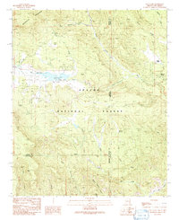 Luna Lake 1991 topographic map thumbnail