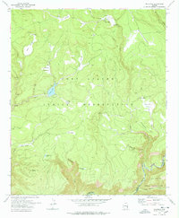 Maverick 1978 topographic map preview