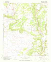 Mesa Parada 1971 topographic map thumbnail