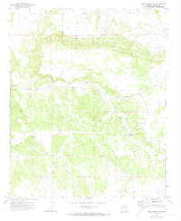 Mesa Parada NW 1971 topographic map thumbnail
