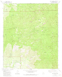 Mica Mountain 1981 topographic map thumbnail