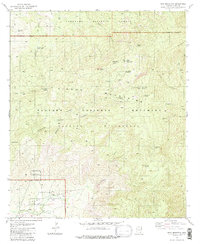 Mica Mountain 1981 topographic map thumbnail