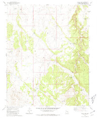 Mixon Tank 1981 topographic map thumbnail