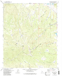 Mount Baldy 1978 topographic map thumbnail