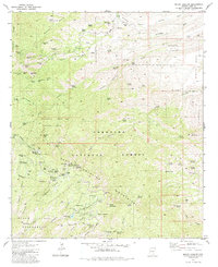 Mount Bigelow 1981 topographic map thumbnail
