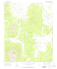 Mount Floyd 1973 topographic map thumbnail