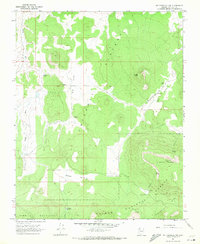 Mt. Trumbull NW topographic map thumbnail