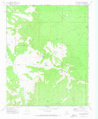 Mustang Point 1971 topographic map thumbnail
