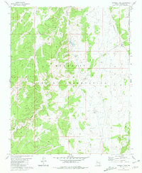 National Tank 1981 topographic map thumbnail