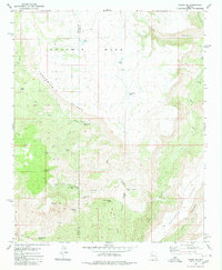 Negro Ed 1980 topographic map thumbnail