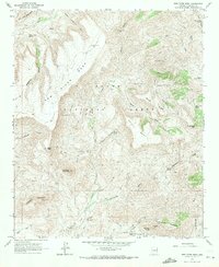 New River Mesa 1964 topographic map thumbnail