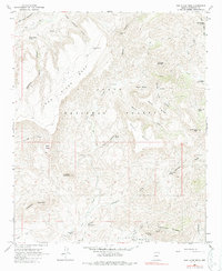New River Mesa 1964 topographic map thumbnail