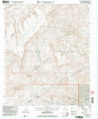 New River Mesa 2004 topographic map thumbnail