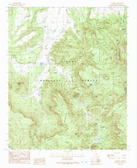 Nutrioso 1991 topographic map thumbnail