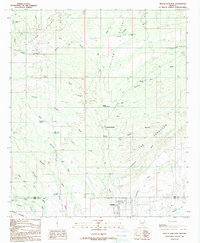 Oracle Junction 1988 topographic map thumbnail