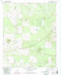 Ortega Mountain 1971 topographic map thumbnail