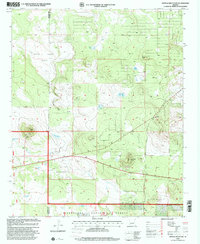 Ortega Mountain 1998 topographic map thumbnail