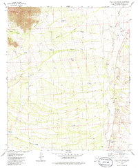 Palo Alto Ranch 1979 topographic map thumbnail
