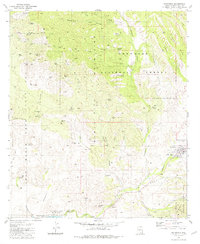 Patagonia 1981 topographic map thumbnail