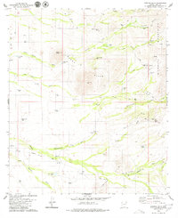 Penitas Hills 1979 topographic map thumbnail