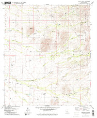 Penitas Hills 1979 topographic map thumbnail
