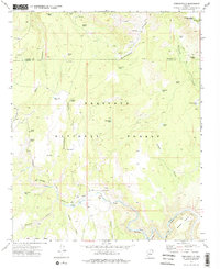Perkinsville 1973 topographic map thumbnail